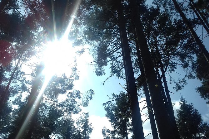 Monarch Butterfly Sanctuary Day Trip from Mexico City - Valle de Bravo gives the afternoon some breathing room