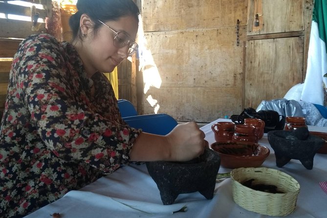 Monarch Butterfly Tour from Mexico City - What the $220 price really covers