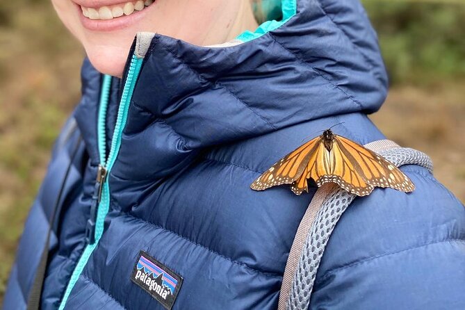 Monarch Butterfly Tour Mexico: Sierra Chuincua and Magic Town - Key Things to Know Before Booking