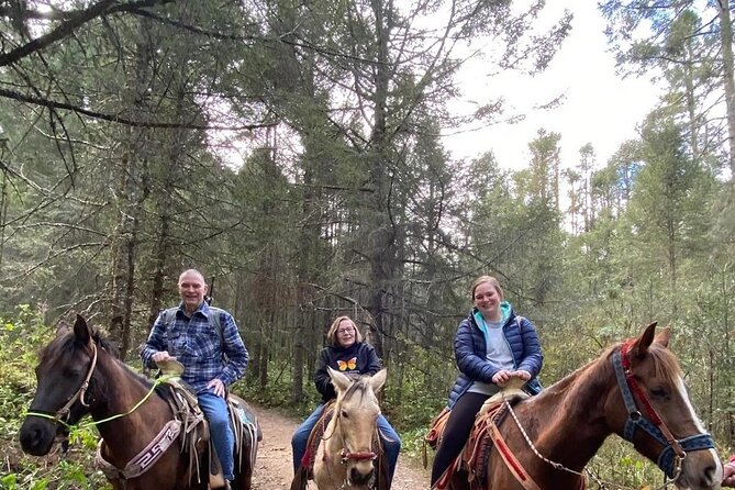 Monarch Butterfly Tour Mexico: Sierra Chuincua and Magic Town - Guide Quality and Communication