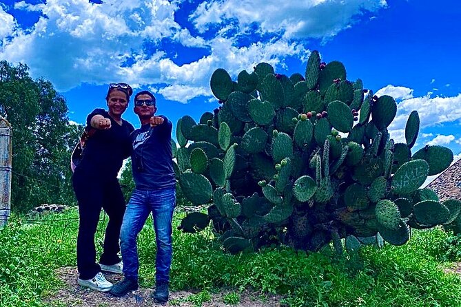 Morning Tour of the Teotihuacan Pyramids - Timing, group size, and practical planning