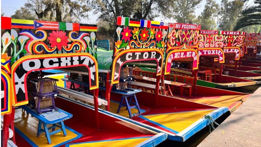 Music and Tequila in Xochimilco visits Coyoacán and CU - Key points to know before booking