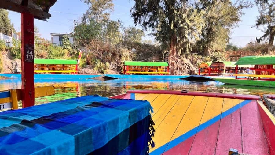 Music and Tequila in Xochimilco visits Coyoacán and CU - Who will get the most from this tour