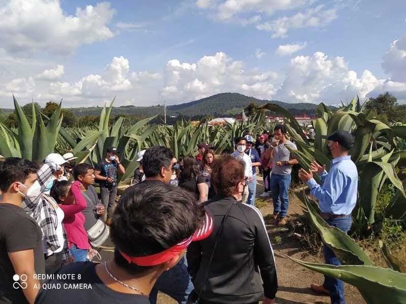 One day tour from Mexico City to Firefly Sanctuary - Smart packing for a damp, dark evening