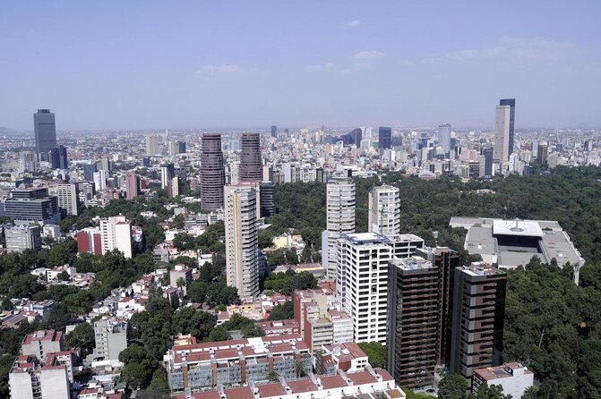 Polanco Food Tour: The Bestselling Food Adventure in Mexico City - Food restrictions and practical planning