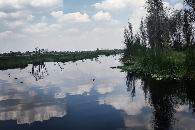 Pre-Hispanic Xochimilco, local food included and ajolotario. - Why this Xochimilco outing feels different