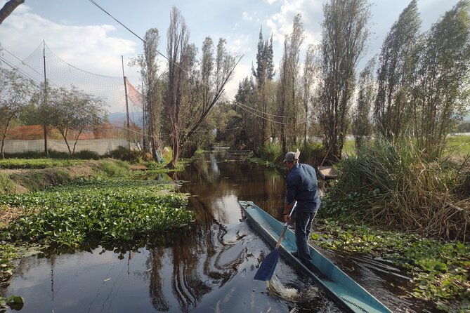 Pre-Hispanic Xochimilco, local food included and ajolotario. - San Bernardino de Siena in Xochimilco town