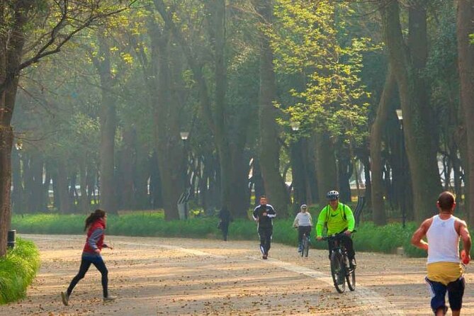 Private Chapultepec Park by Bike Guided Tour - Archaeology in a small corner of the forest