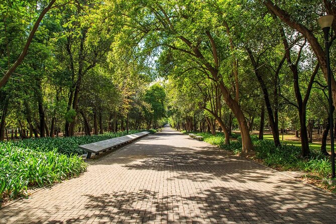 Private Chapultepec Park by Bike Guided Tour - The Canadian Totem and international connections