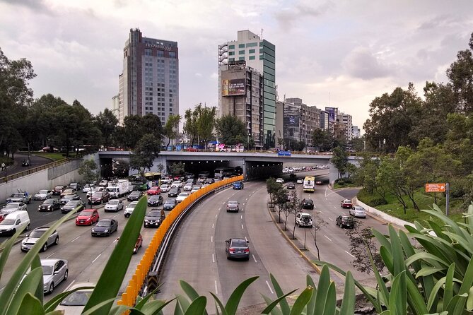 Private Contrasts of Mexico City Neighborhoods Tour - Reforma Connects Public Life and Modern Mexico