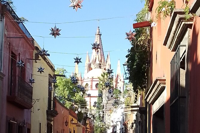 Private Historical Tour in San Miguel de Allende and Guanajuato - Should you book the San Miguel and Guanajuato tour?
