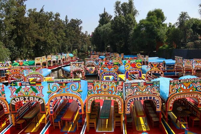 Private/Shared Tour Xochimilco Coyoacán optional Frida Kahlo - Key points before you book