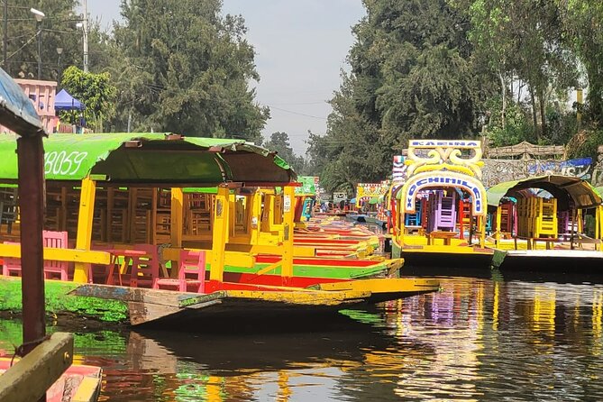 Private/Shared Tour Xochimilco Coyoacán optional Frida Kahlo - Why this pairing works in southern Mexico City
