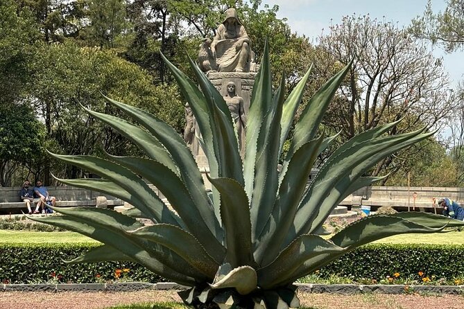 Private Tour in the Historic Center of CDMX and Chapultepec - What the private format adds