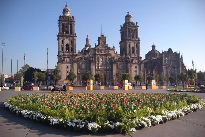 Private Tour of Mexico City with Anthropology - Paseo de la Reforma and the first view of the city