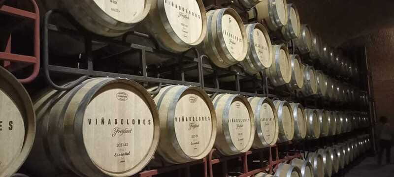 Private tour to Peña de Bernal & Freixenet Winery from CDMX - Three wines and five mixed tapas