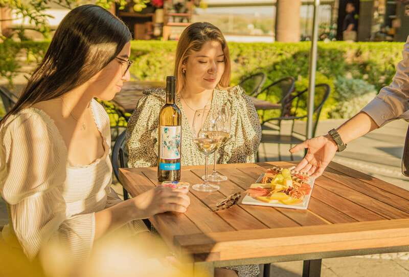 Private tour to Peña de Bernal & Freixenet Winery from CDMX - What the $653 price means