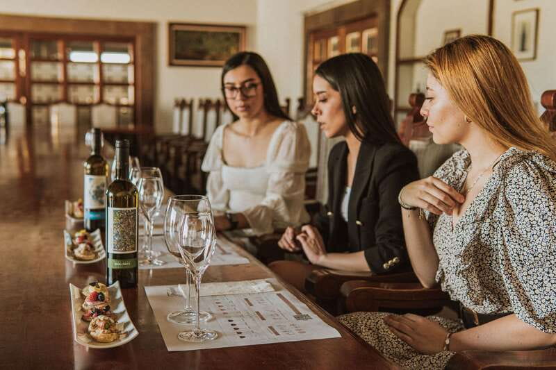 Private tour to Peña de Bernal & Freixenet Winery from CDMX - Freixenet’s 25-meter cellar