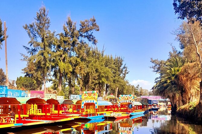 Private Tour to Xochimilco, Coyoacan and the World of Frida Kahlo - Why this combination works in Mexico City