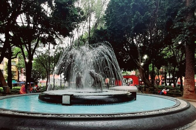 Private Tour to Xochimilco, Coyoacan and the World of Frida Kahlo - Who should book this half-day outing?