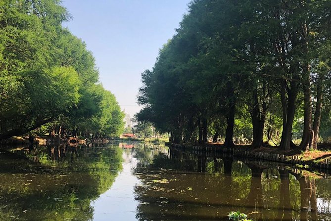 Private Tour: Xochimilco, Coyoacan and Frida Kahlo Museum - Anahuacalli and Diego Rivera’s pre-Hispanic collection