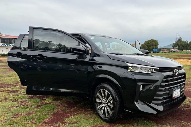 Private Transportation to Teotihuacan from CDMX - Communication, language, and meeting details