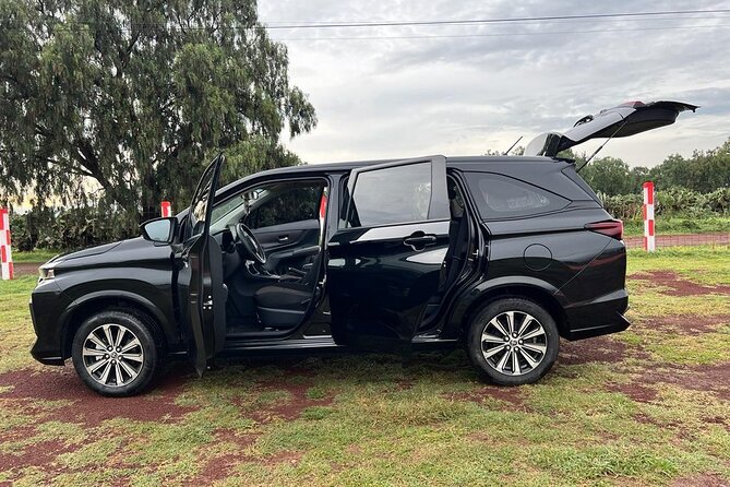 Private Transportation to Teotihuacan from CDMX - Who should book this service?