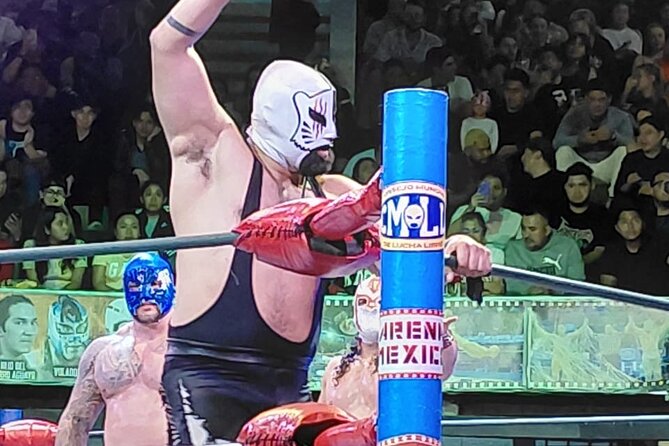 Pulque Tasting and Mexican Wrestling: Premium Small Group Tour - Why this Mexico City pairing works