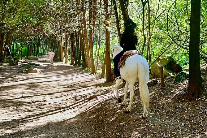 Ride Horses, Learn to Cook with Locals in Mexico City - From Condesa to a rural Mexico City
