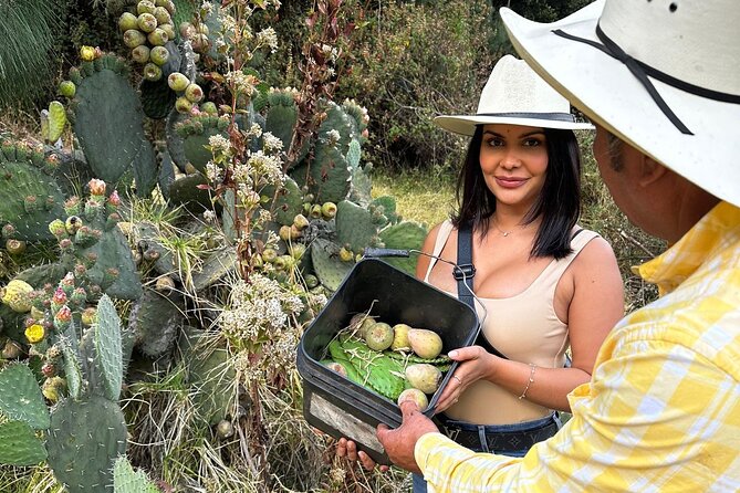 Ride Horses, Learn to Cook with Locals in Mexico City - Cooking tortillas and salsas beside a fire