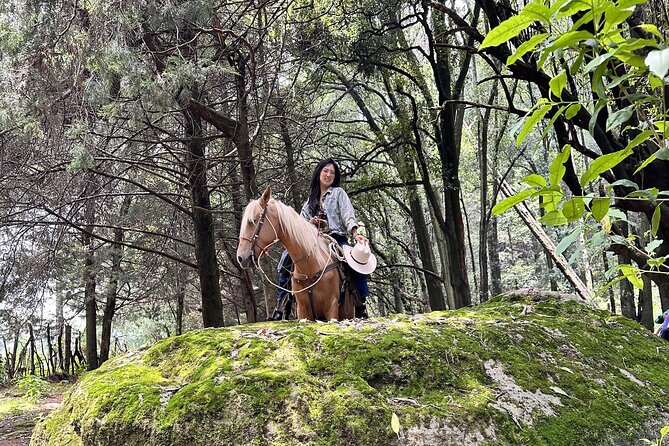 Ride Horses, Learn to Cook with Locals in Mexico City - What the price includes and what it means for value