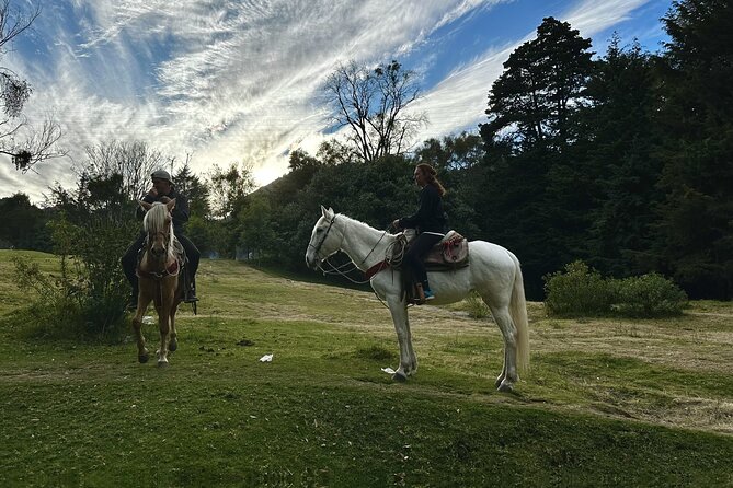 Ride Horses, Learn to Cook with Locals in Mexico City - Who should book this Mexico City outing?