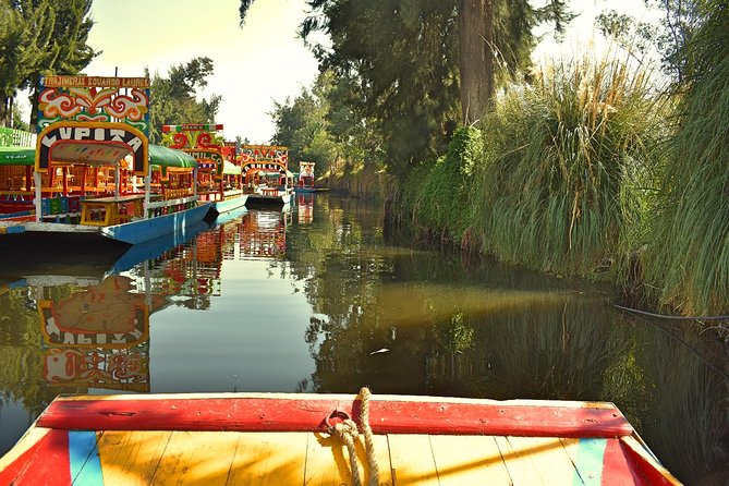Small Group: Discover Xochimilco, Coyoacán, Frida Kahlo Museum and House - Transport, group size, and the human side of the tour
