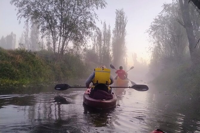 Sunrise Kayak Tour in Xochimilco - Why Xochimilco feels different before dawn