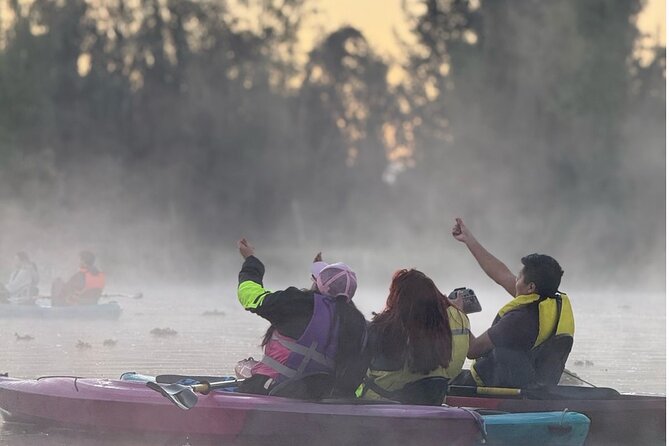 Sunrise Kayak Tour in Xochimilco - Cold mornings, wet kayaks, and bathroom realities