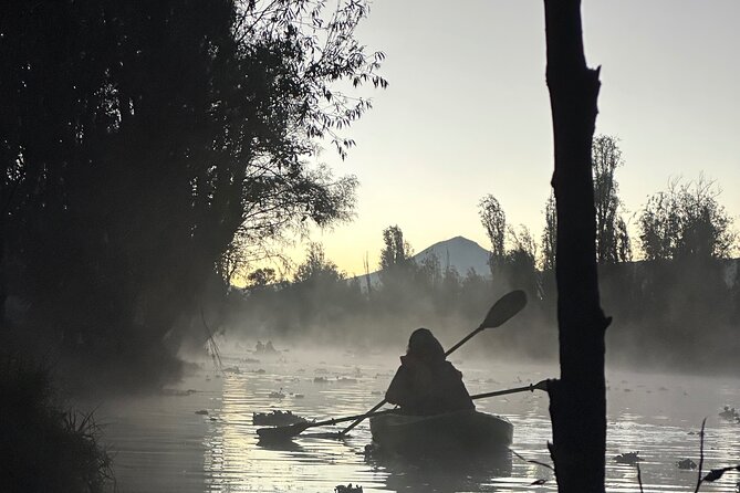 Sunrise Kayak Tour in Xochimilco - Does the $28.68 price offer good value?