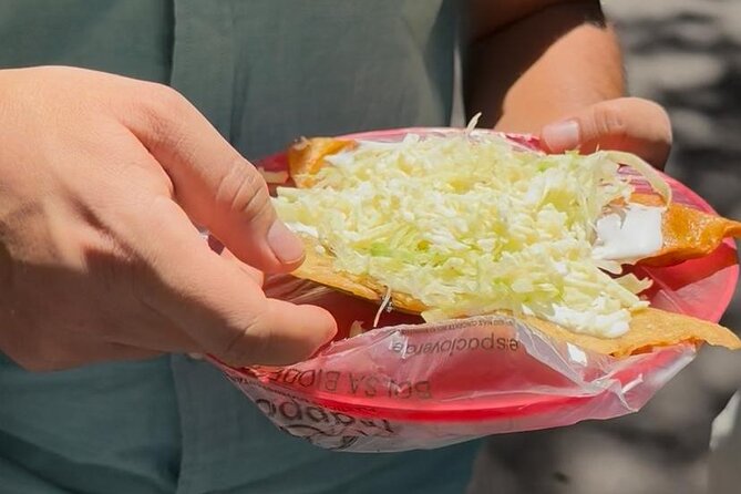Tacos 101 Mexico City Taco Experience - Birria Colorado and the Jalisco connection