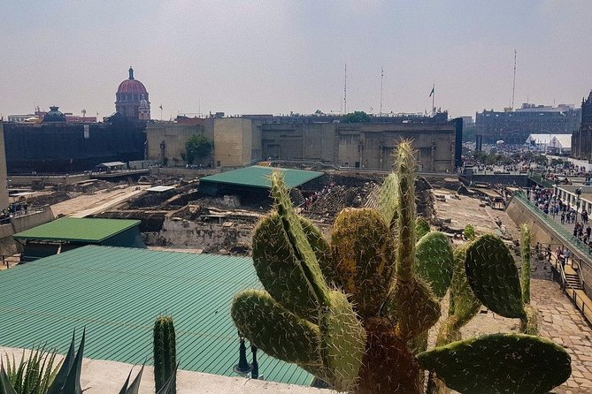 Templo Mayor Museum Semi Private Walking Tour in Mexico City Downtown - Inside Museo del Templo Mayor