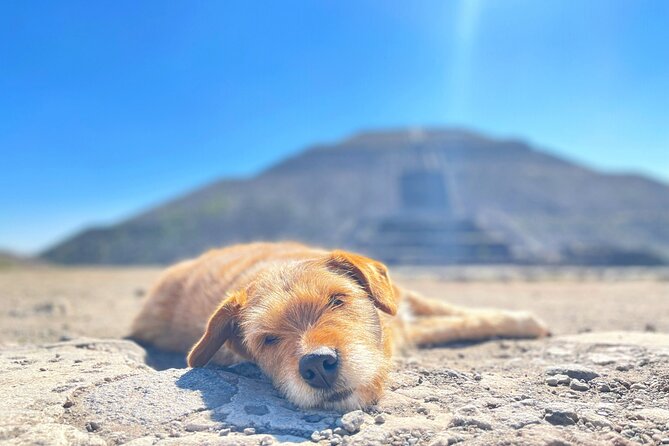 Teotihuacan and My Grandma's Food Tour - Three hours among Teotihuacan’s pyramids