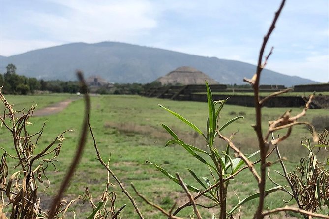 Teotihuacan & Basilica of Guadalupe - Private Tour - Cochinita pibil adds a welcome local taste