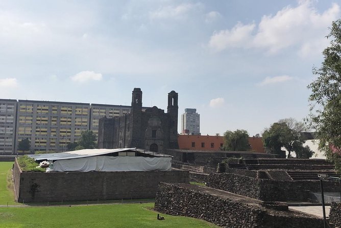 Teotihuacan & Basilica of Guadalupe - Private Tour - What private transportation changes