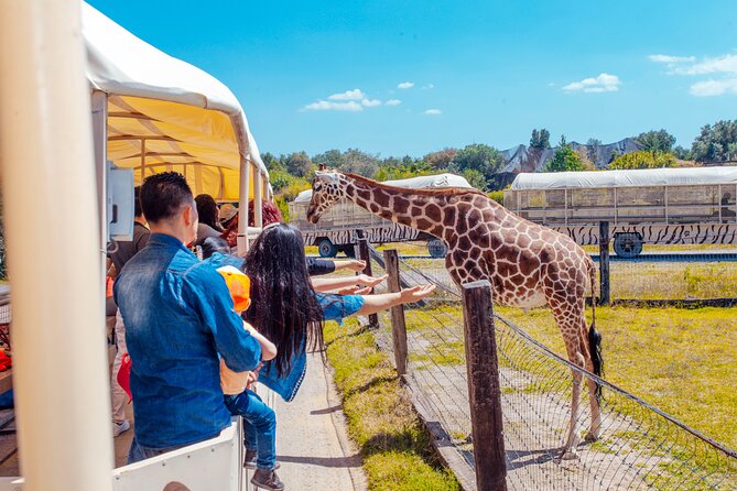 Teotihuacán for kids - Food, snacks, and the fast pace