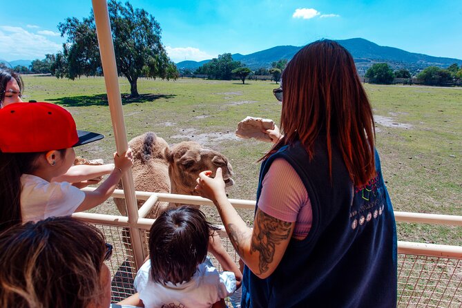 Teotihuacán for kids - My practical plan for the day