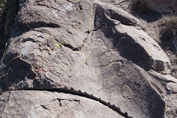 Teotihuacan Pyramids tour - What Daniel does well, and what to consider