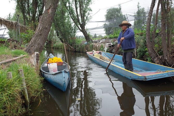 The City Green Exploring the Urban Eco Reserve of Xochimilco - Coffee and pastries at Hagamos Composta