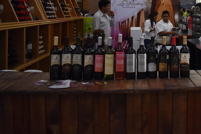 The Magical Town of Tepotzotlán & Artisanal wine from Mexico City - What to expect during the wine tasting