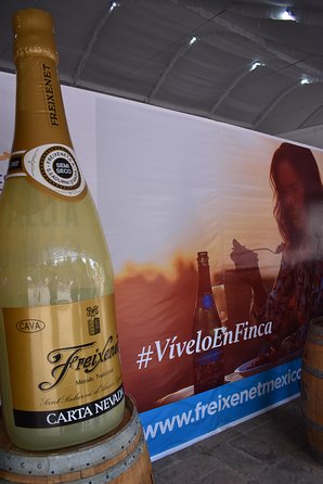 The Magical Town of Tepotzotlán & Artisanal wine from Mexico City - The guide, group size, and language setup