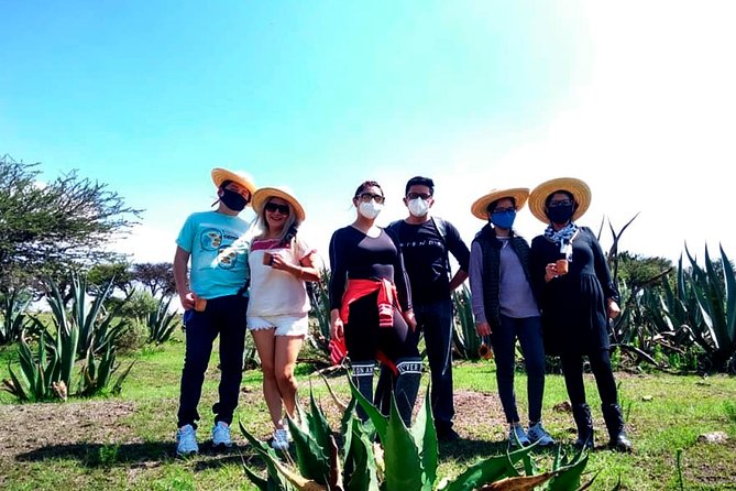Tour de Pulque en Tepotzotlán, Pueblo Mágico - Meeting the tlachiquero and learning the agave process