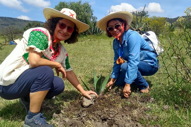 Tour de Pulque en Tepotzotlán, Pueblo Mágico - Getting there from Mexico City