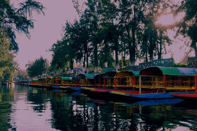 Trajinera Party at Xochimilco with Drinks, Mariachi & Snacks - Who will enjoy this boat ride most